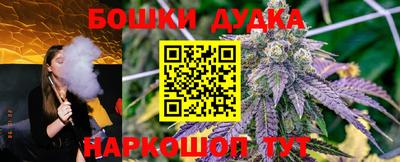 индика Тверь